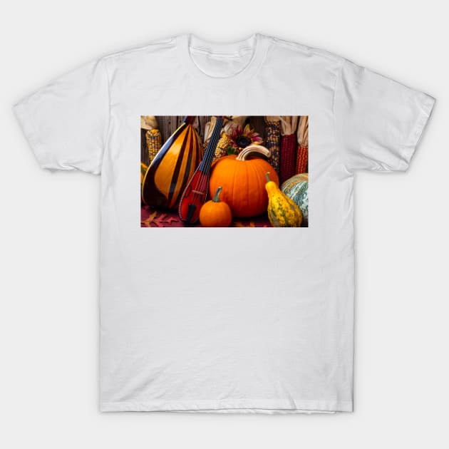 Pocket Violin And Pumpkins T-Shirt by photogarry